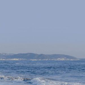 香蕉视频app污在线观看
