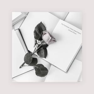 香蕉视频app污在线观看
