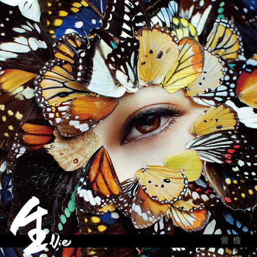 香蕉视频app污在线观看
